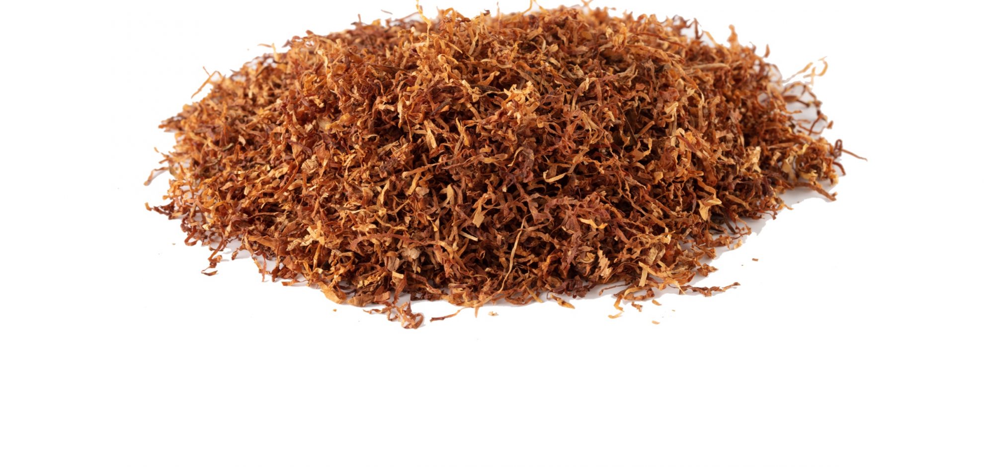 cut-rag-tobacco-buying-guide-global-provider-of-the-finest-tobacco